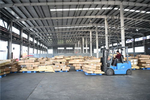 昔日破烂村,今朝变美致富曲——室内装饰材料销售引领乡村振兴