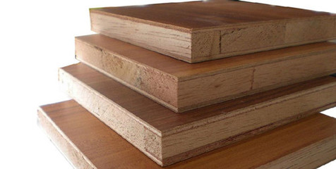 临沂丰叶十大品牌与丰邦植物医院 室内装饰材料销售的双重优势